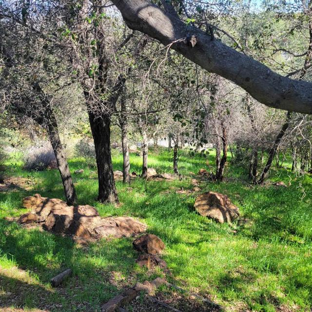 Detail Gallery Image 4 of 19 For 9720 Garwood Rd, Descanso,  CA 91916 - 3 Beds | 2 Baths