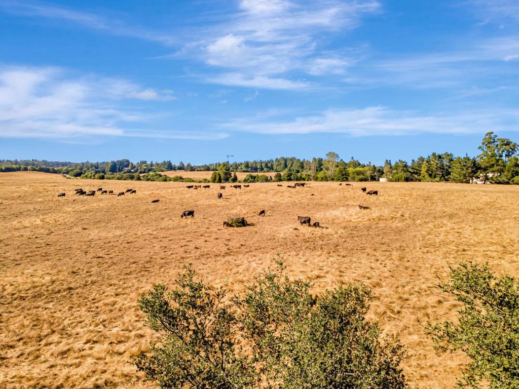 MLS #ML82017003 image #18