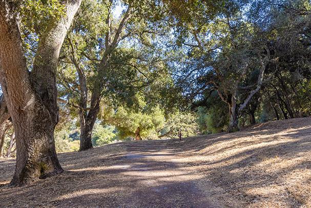 3 Via Vaquera, Carmel CA: https://media.crmls.org/mediaz/2005b296-6147-465d-8c3b-ce0f3caf37a2.jpg