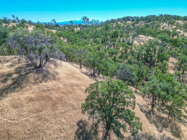0 Wood Duck Pass Road, Red Bluff CA: https://media.crmls.org/mediaz/201b268b-c089-42f0-8fe2-199de47ad69a.jpg