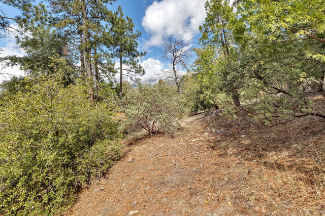 53184 Double View Drive, Idyllwild CA: https://media.crmls.org/mediaz/201d8d88-8867-44bc-be8f-19736bfbcf4b.jpg