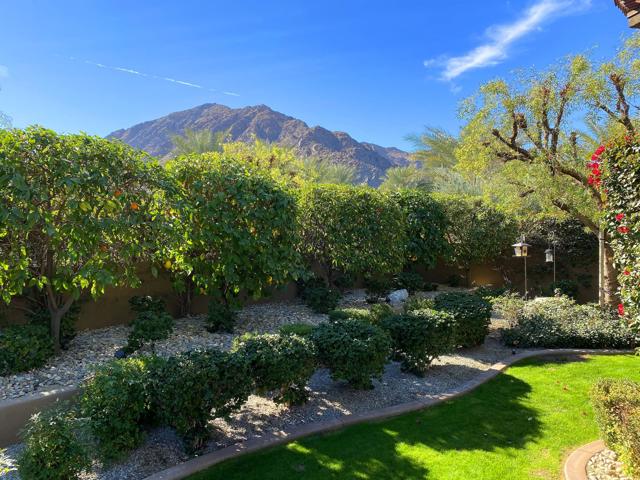 046_Side Yard View