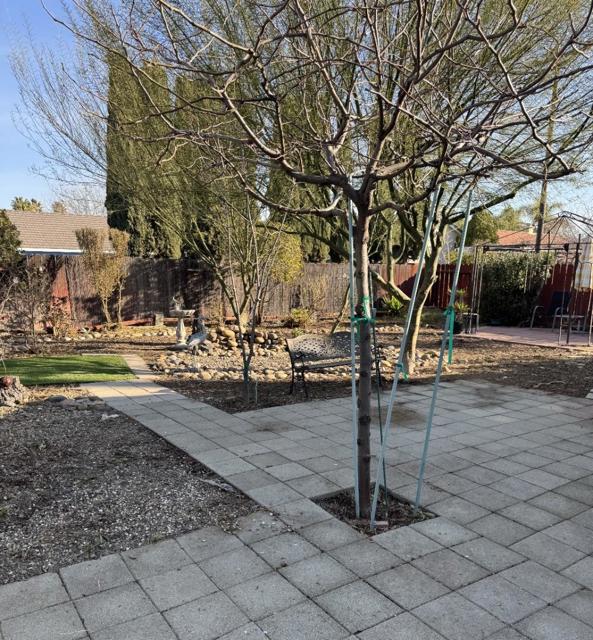 1338 Quail Street, Los Banos CA: https://media.crmls.org/mediaz/20297ab7-0732-4be1-b9e2-74aa017a07fe.jpg