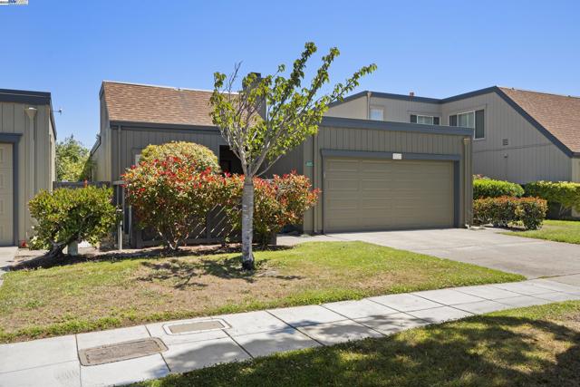 3527 Magnolia Dr, Alameda CA: https://media.crmls.org/mediaz/202be2a2-c831-48a4-9f3d-e4714e11aa9f.jpg