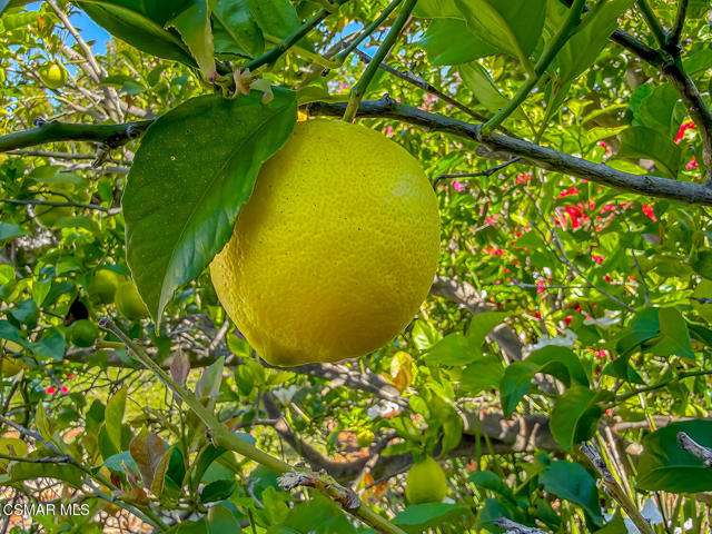 Image 57 of 67 For 388 Via Cresta