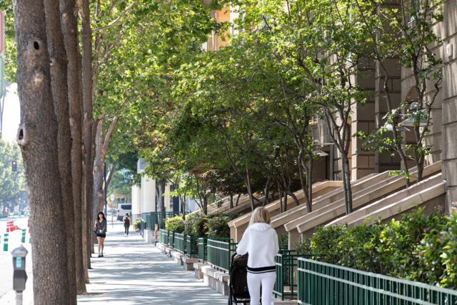 130 E San Fernando Street, San Jose CA: https://media.crmls.org/mediaz/2038f354-bdd5-4e46-bd1d-54a297d29474.jpg