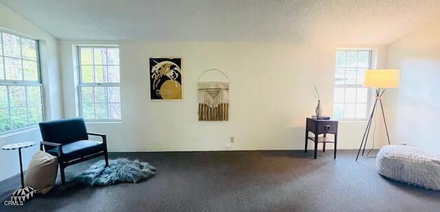 Detail Gallery Image 11 of 31 For 43300 Little River Airport Rd #134,  Little River_1,  CA 95456 - 3 Beds | 2 Baths