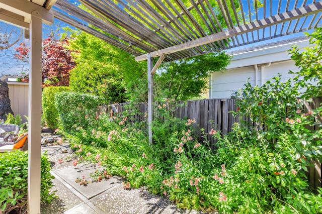 2557 Cottle Avenue, San Jose CA: https://media.crmls.org/mediaz/20403e2d-ccb8-43b7-ab85-53ad342f67c3.jpg