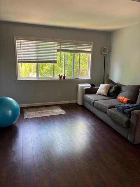3203 Myles Court, San Jose CA: https://media.crmls.org/mediaz/2049903b-4d74-4333-92c4-9ab7f207da52.jpg