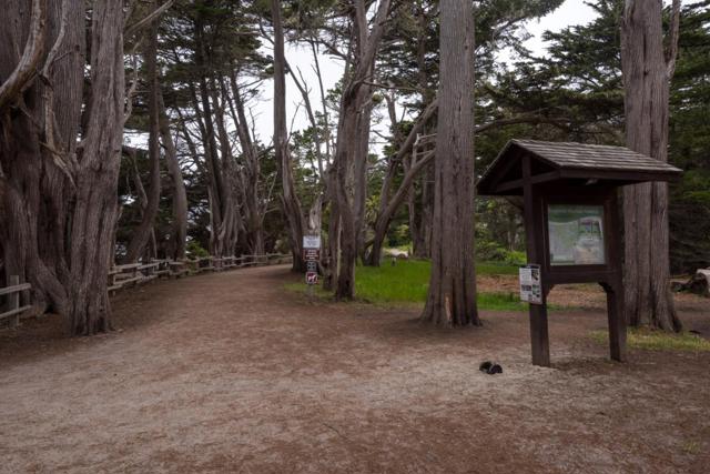 0 Oak Avenue, Moss Beach CA: https://media.crmls.org/mediaz/204b3b1d-315e-460e-872d-b758ef960a2e.jpg