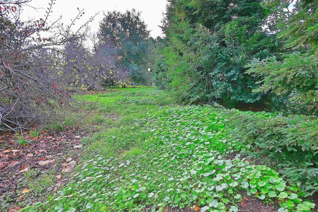 Image 35 of 51 For 181 Lewelling Blvd