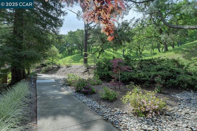 1317 Stanley Dollar Dr, Walnut Creek CA: https://media.crmls.org/mediaz/2051dad6-889c-4396-84ae-f567a7e7f481.jpg