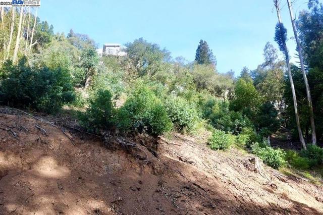 7590 Skyline Blvd, Oakland CA: https://media.crmls.org/mediaz/20567d20-56f8-47b5-8852-2758563992a9.jpg