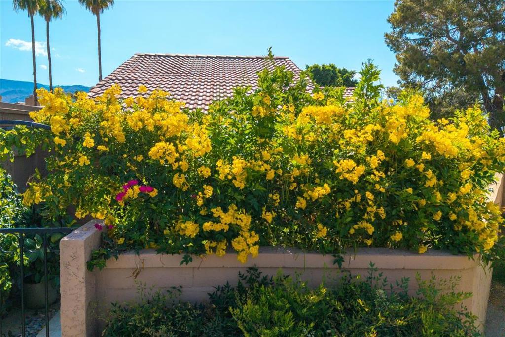 MLS #219135342DA image #57