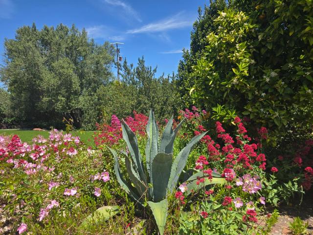 2 MESA DEL SOL,  CA: https://media.crmls.org/mediaz/206a0685-26c2-4d2a-a581-a675b2321495.jpg