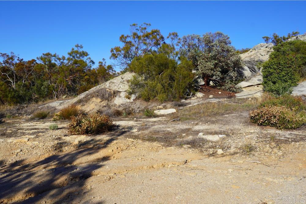 MLS #PTP2507282 image #13