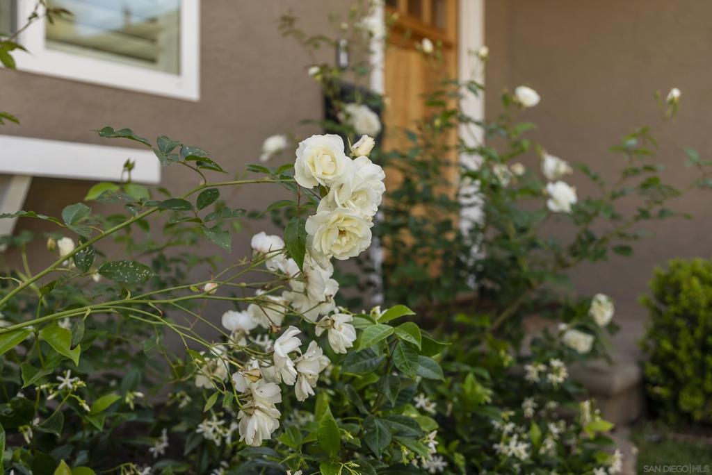 4454 Bertha Ct - photo 2