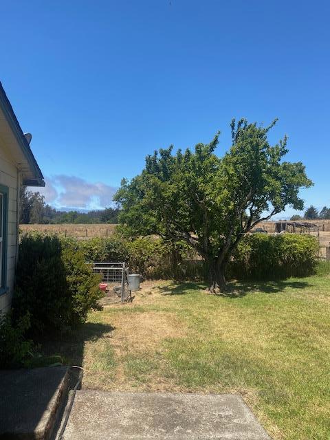 277 Manfre Road, Watsonville CA: https://media.crmls.org/mediaz/2089180d-646d-4941-9fb4-30a051f98d1f.jpg