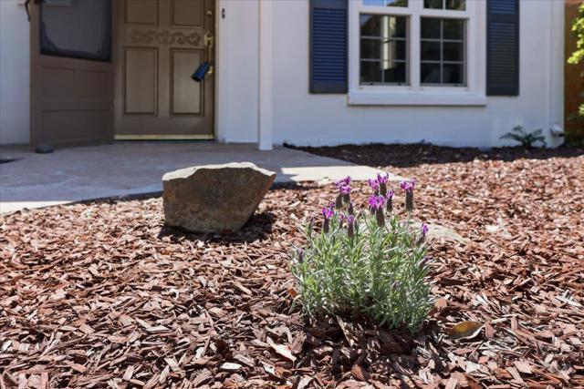 1019 Riverton Drive, San Carlos CA: https://media.crmls.org/mediaz/2099ca31-feaf-42ce-a06c-c6507a756eea.jpg