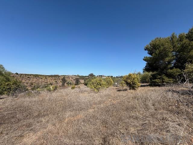 9562 Covey Ln, Escondido CA: https://media.crmls.org/mediaz/209cff23-06f4-4838-8bdd-3e5ac4f5b179.jpg