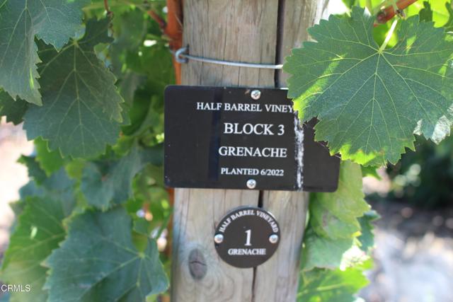 Detail Gallery Image 55 of 72 For 6150 Baja Vista Dr, Somis,  CA 93066 - 7 Beds | 5/2 Baths