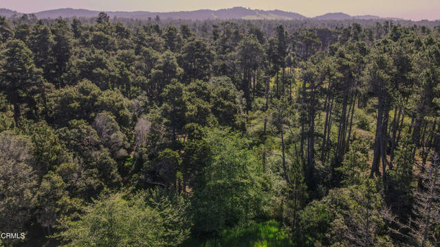 Detail Gallery Image 3 of 13 For 23401 California Hwy 1, Fort Bragg,  CA 95437 - – Beds | – Baths