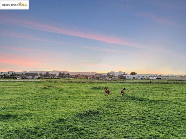 4985 Bixler Road, Byron CA: https://media.crmls.org/mediaz/20bb2de9-828f-4aae-869b-a384405b4399.jpg