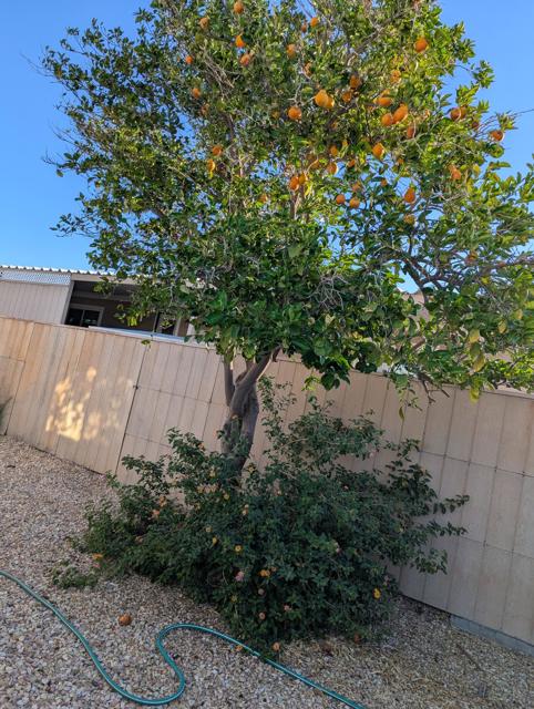 69571 Parkside Drive, Desert Hot Springs CA: https://media.crmls.org/mediaz/20bd5215-c1da-4413-931b-f80c68ad062c.jpg