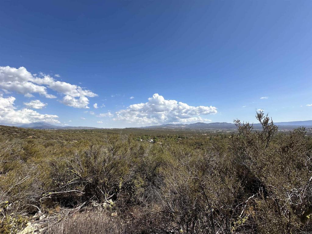 MLS #PTP2506948 image #11