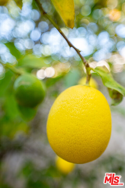 https://media.crmls.org/mediaz/20c154c2-f402-4a20-a0ca-09baeda99be2.jpg?preset=X-Large