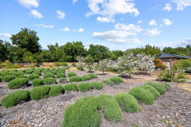 20811 Norada Court, Saratoga CA: https://media.crmls.org/mediaz/20cc475e-2831-4b3b-a105-2ac3cd7ee08a.jpg