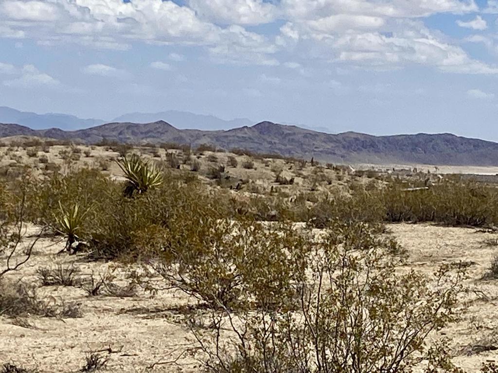 MLS #219134434PS image #5