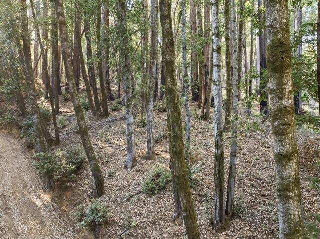 0 Western, Brookdale CA: https://media.crmls.org/mediaz/20e785fb-0c0e-407c-ab52-4160ded0ca30.jpg