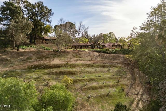 230 Avocado Place, Camarillo CA: https://media.crmls.org/mediaz/20eb5789-b350-4f35-a466-680f2b08f84d.jpg