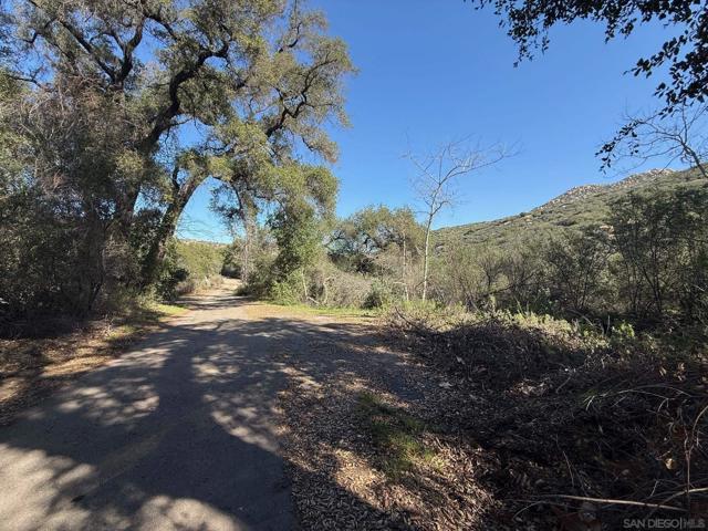0 Wildcat Canyon Road, Lakeside CA: https://media.crmls.org/mediaz/20ec0352-010b-4e57-901a-4af9aeb5b916.jpg