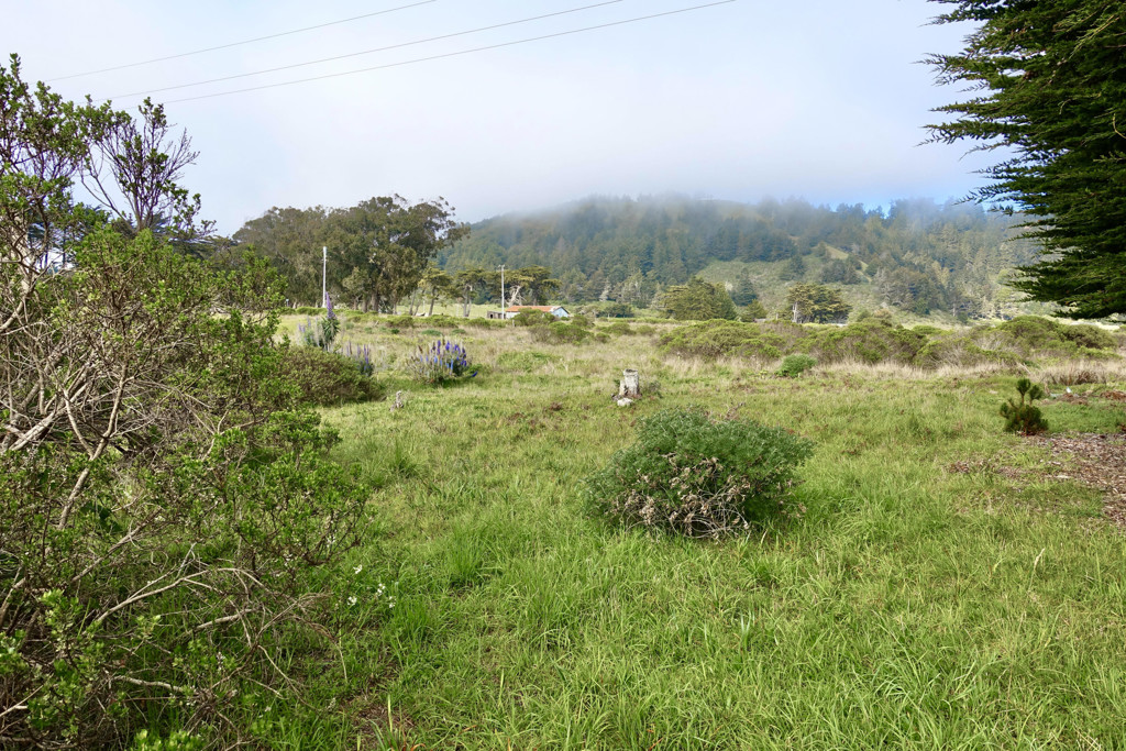 15101 Mallo Pass Drive