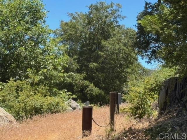 Detail Gallery Image 18 of 47 For 10 Acres Greenfield Way, Palomar Mountain,  CA 92060 - – Beds | – Baths