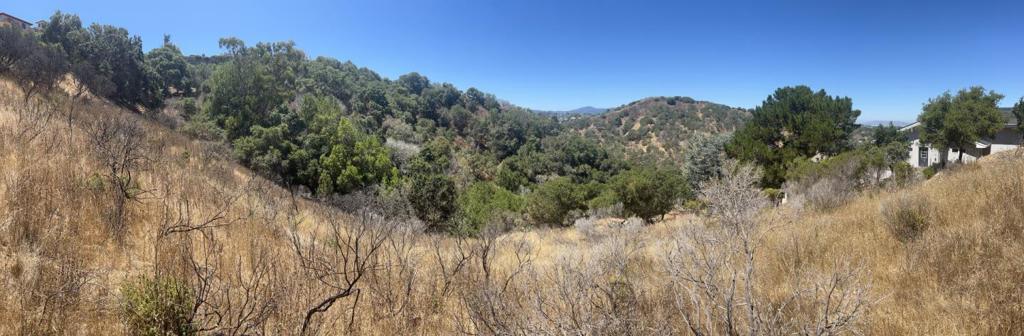 MLS #ML81991274 image #9