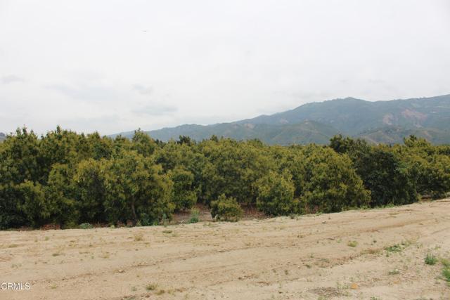 Detail Gallery Image 9 of 33 For 0 Camulos St, Piru,  CA 93040 - – Beds | – Baths