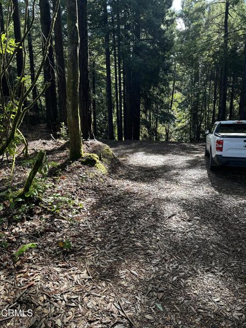 Detail Gallery Image 4 of 7 For 17500 Redwood Springs Dr, Fort Bragg,  CA 95437 - – Beds | – Baths