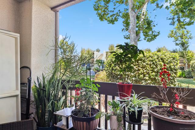 5350 Baltimore Drive, La Mesa CA: https://media.crmls.org/mediaz/212d59d9-e56d-4c35-9ee8-84f35a1feaf7.jpg