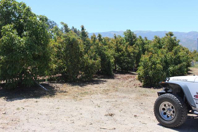 Detail Gallery Image 33 of 33 For 0 Camulos St, Piru,  CA 93040 - – Beds | – Baths