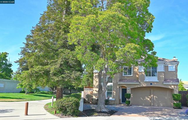 230 Triana Way, San Ramon CA: https://media.crmls.org/mediaz/21361098-abcc-4aaf-9f69-fdd66a487eb4.jpg