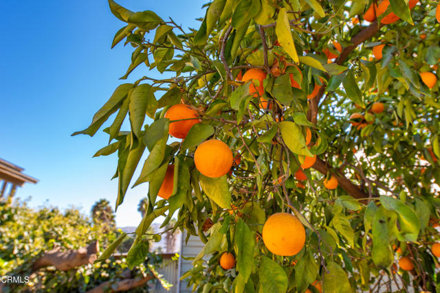 Detail Gallery Image 21 of 28 For 221 N 7th St, Santa Paula,  CA 93060 - 2 Beds | 1 Baths