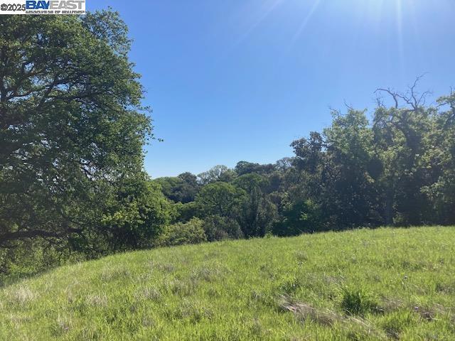 0 Wanda Way, Martinez CA: https://media.crmls.org/mediaz/214a9e86-a247-4b56-adeb-033f12b9c4e4.jpg