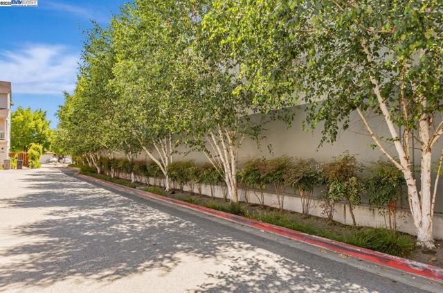 705 Cannery Pl, San Jose CA: https://media.crmls.org/mediaz/214c2003-75f0-418b-b811-be13cfece751.jpg