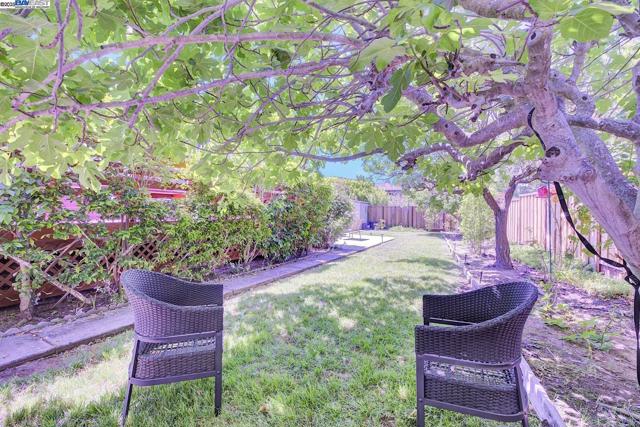 1487 De Palma Dr, San Jose CA: https://media.crmls.org/mediaz/215070fa-5247-4935-b22b-c941f7c83c29.jpg
