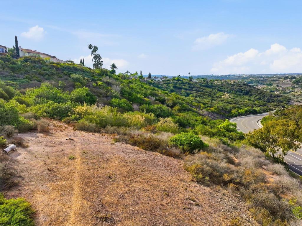 6515 El Fuerte Street - photo 12