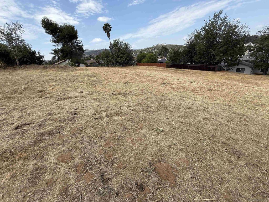 1565 Montiel Rd - photo 4