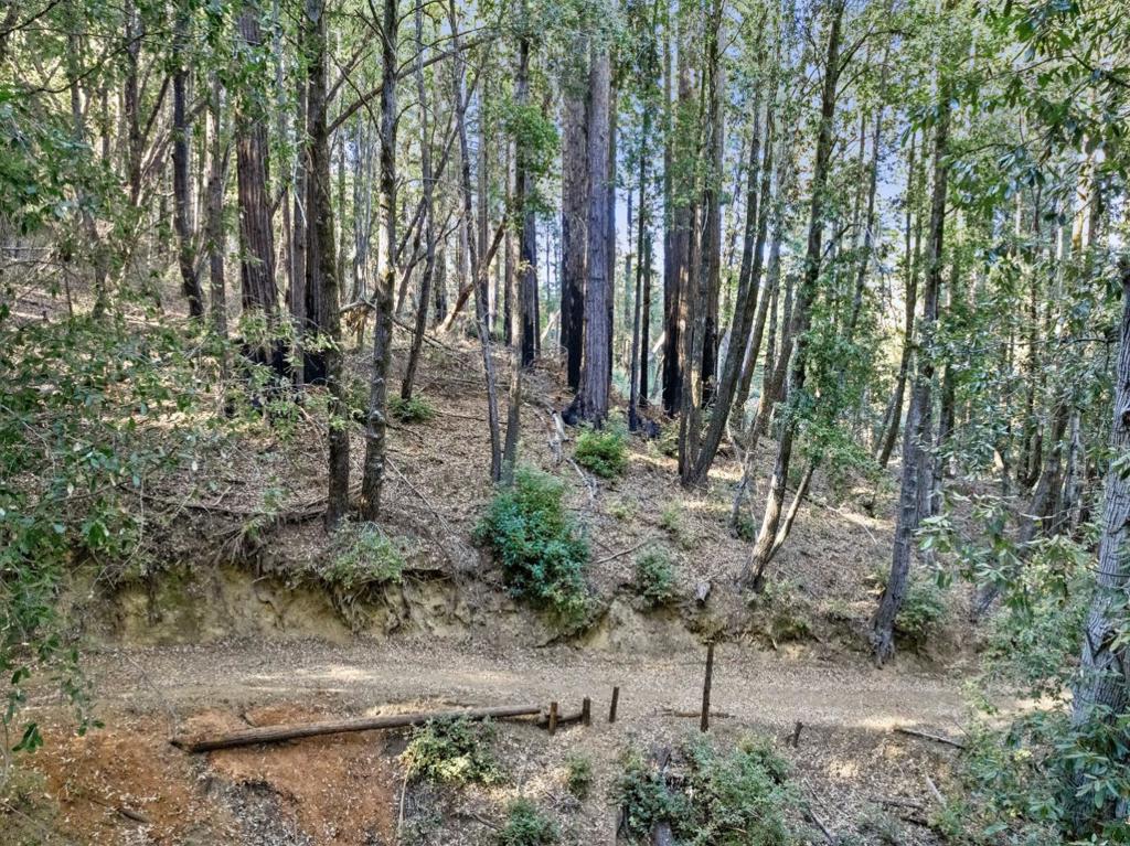 MLS #ML81986063 image #18